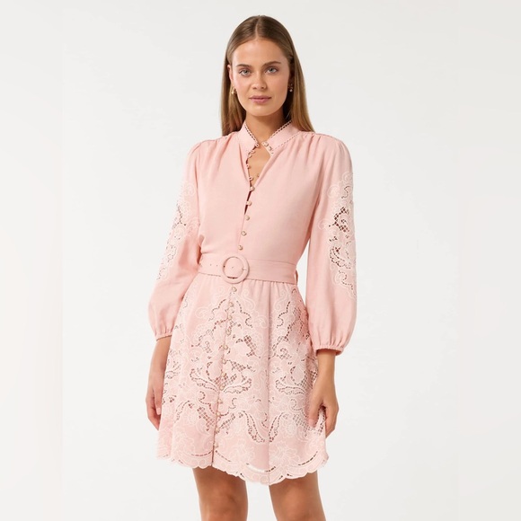 Ever New Dresses & Skirts - Ever New Rhi Embroidered Mini Dress